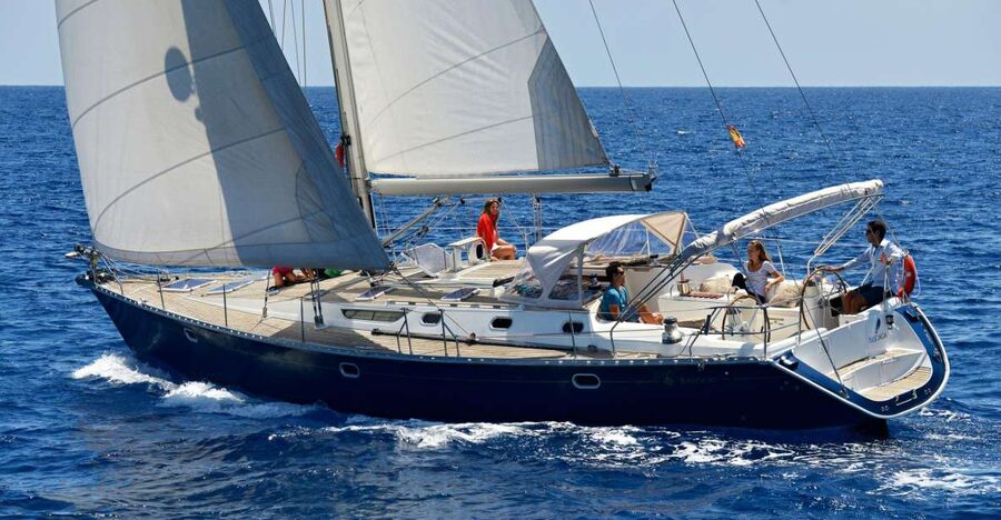 Tenerife: Sailing Excursion with Whale and Dolphin Watching - Sailing the southern coast, wind permitting