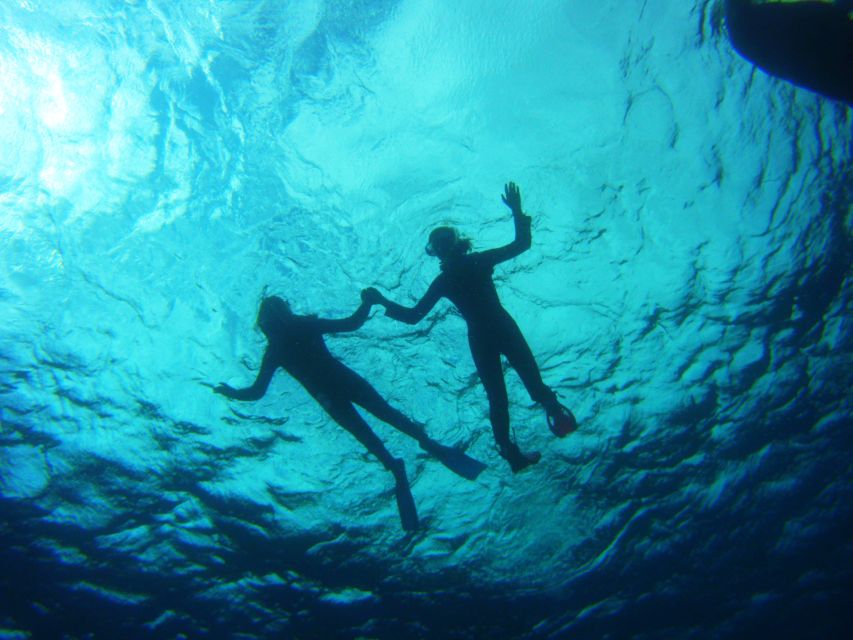 Tenerife: Snorkel with Turtles - FAQ