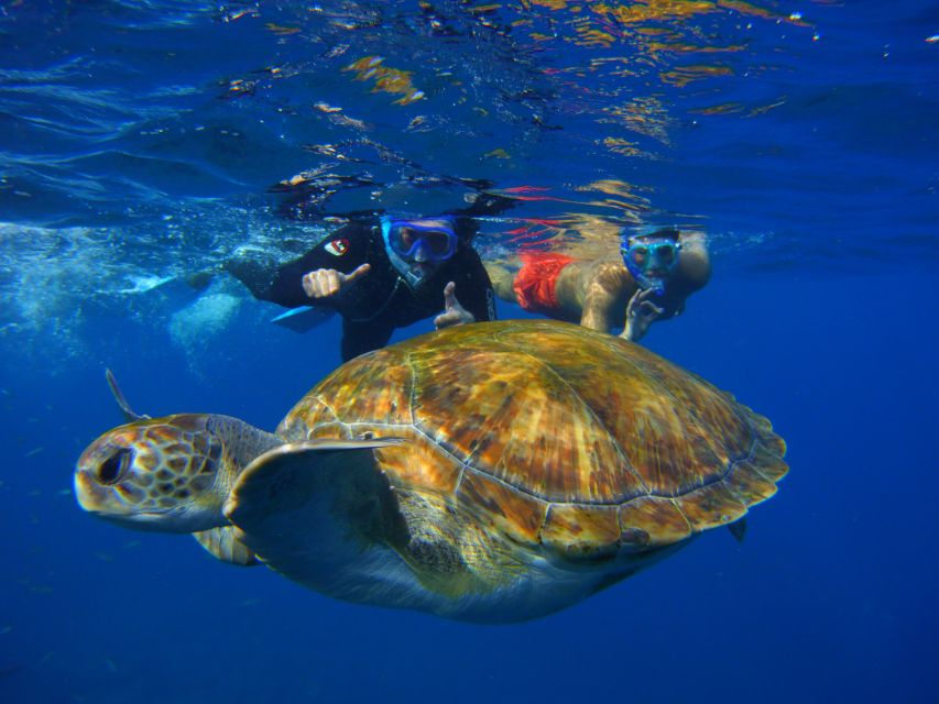 Tenerife: Snorkel with Turtles - Who will enjoy this trip most