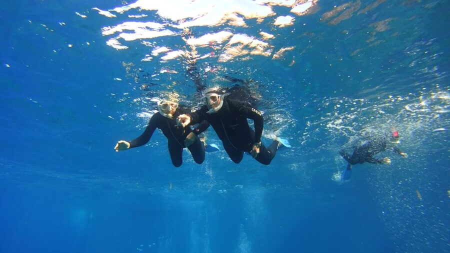 Tenerife: Snorkel with Turtles - Should you book the Tenerife turtle snorkel?
