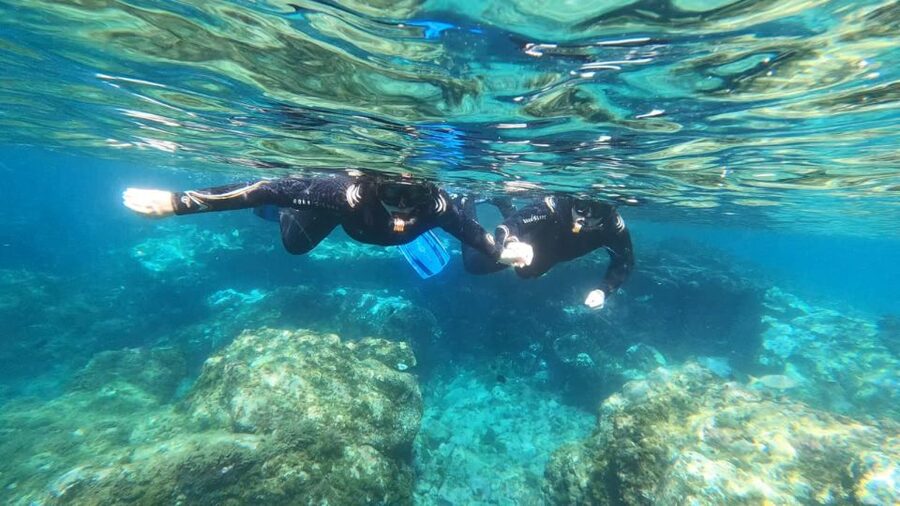 Tenerife: Snorkeling Tour in a Marine Protected Area - Abades beach sets the scene