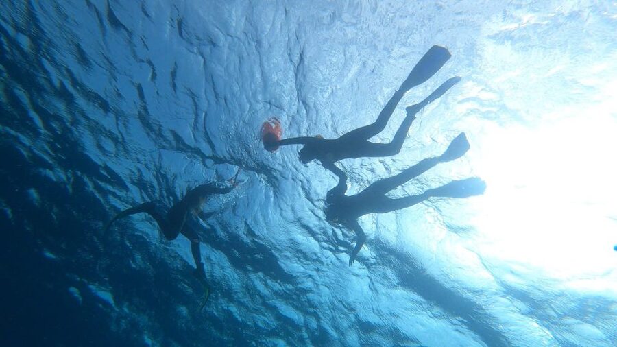 Tenerife: Snorkeling Tour in a Marine Protected Area - Photos that leave you free to watch