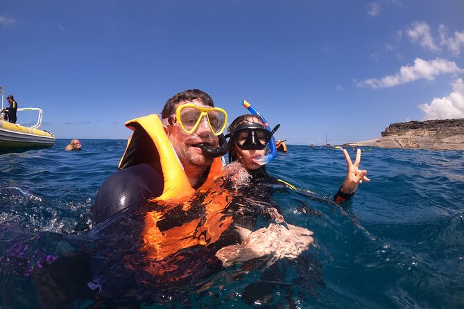 Tenerife Snorkeling Tour in turtle habitat - What the price covers, and what it doesn’t