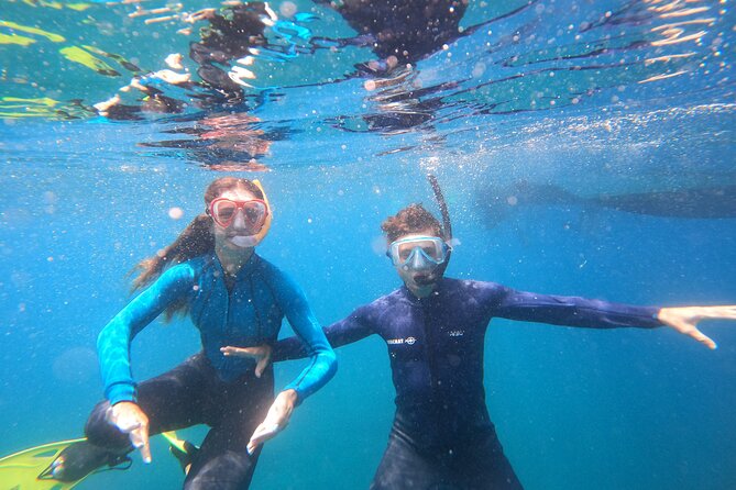 Tenerife Snorkeling Tour in turtle habitat - Who is likely to enjoy this most