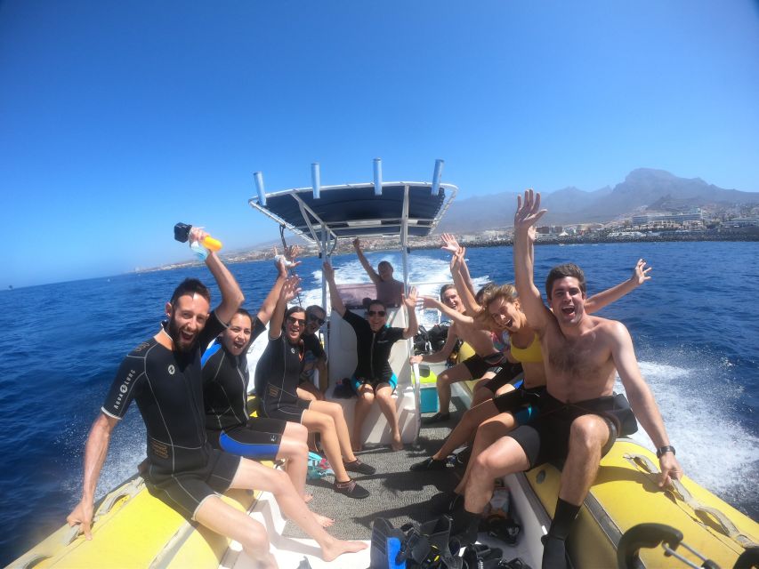 Tenerife: Snorkeling Trip in a Turtle Habitat - The speedboat and sea conditions
