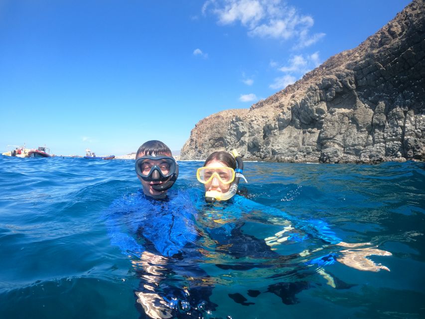 Tenerife: Snorkeling Trip in a Turtle Habitat - What $41 covers, and what it does not