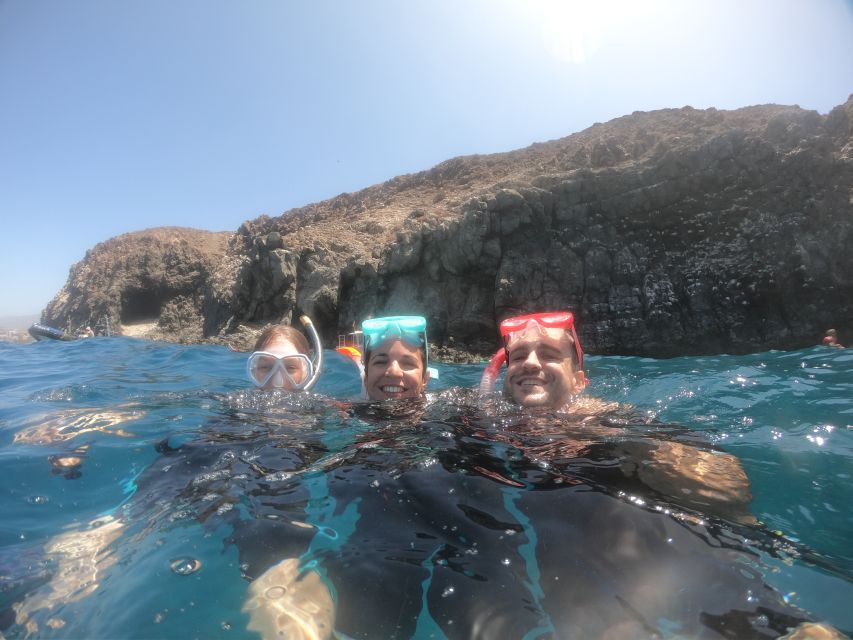 Tenerife: Snorkeling Trip in a Turtle Habitat - Who will enjoy this trip most