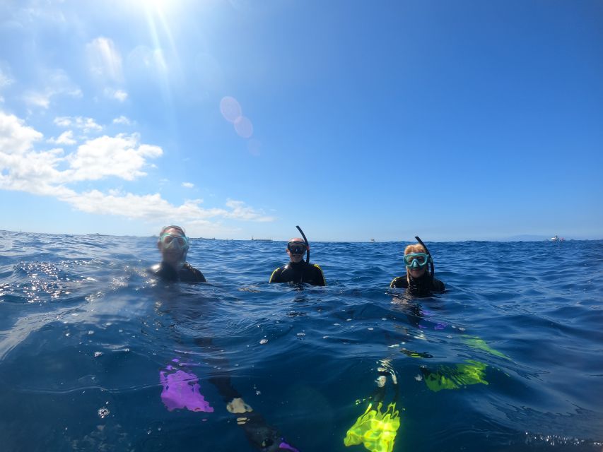 Tenerife: Snorkeling Trip in a Turtle Habitat - Practical details before you go