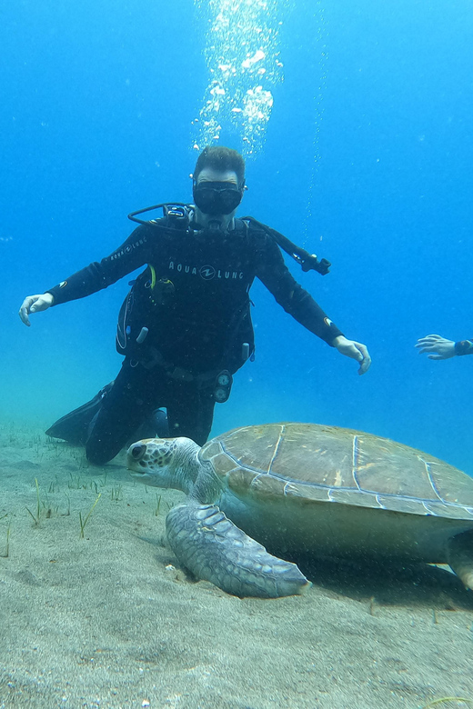 Tenerife south: Scuba Dive for beginners in Adeje - Your first breaths in Tenerife’s Atlantic