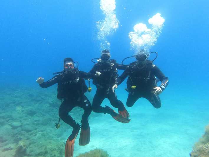 Tenerife south: Scuba Dive for beginners in Adeje - An 8:45 start at the GF Isabel Hotel