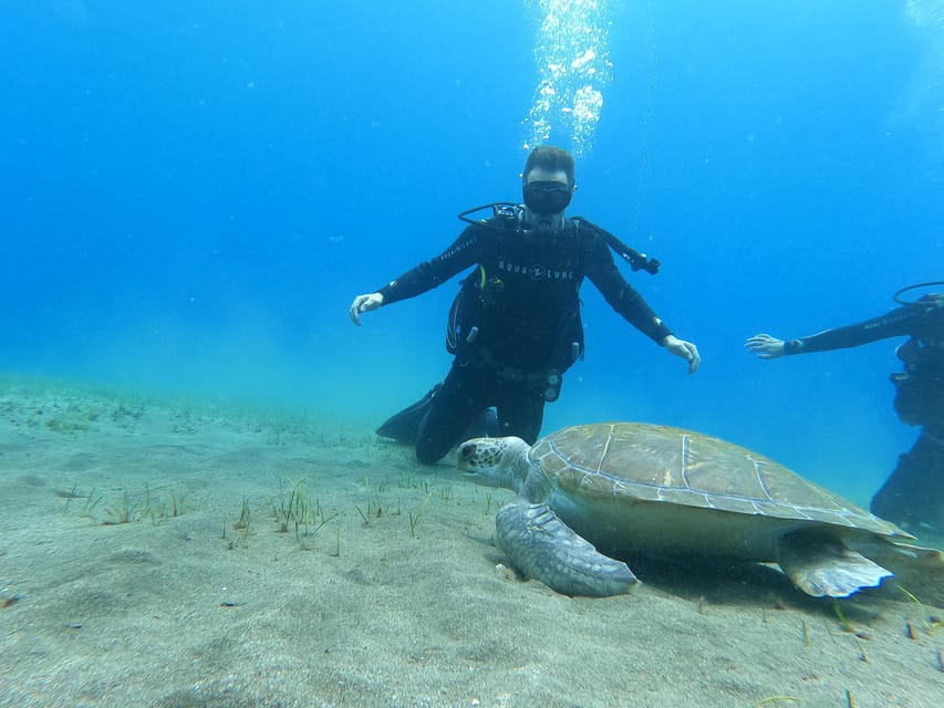 Tenerife south: Scuba Dive for beginners in Adeje - Forty-five minutes to get used to the underwater world