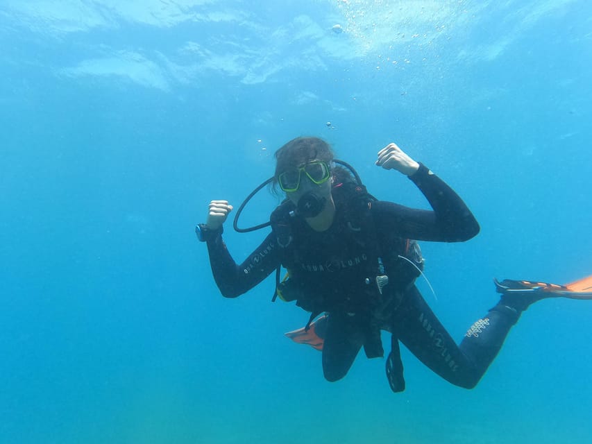 Tenerife south: Scuba Dive for beginners in Adeje - Small groups and close instructor attention