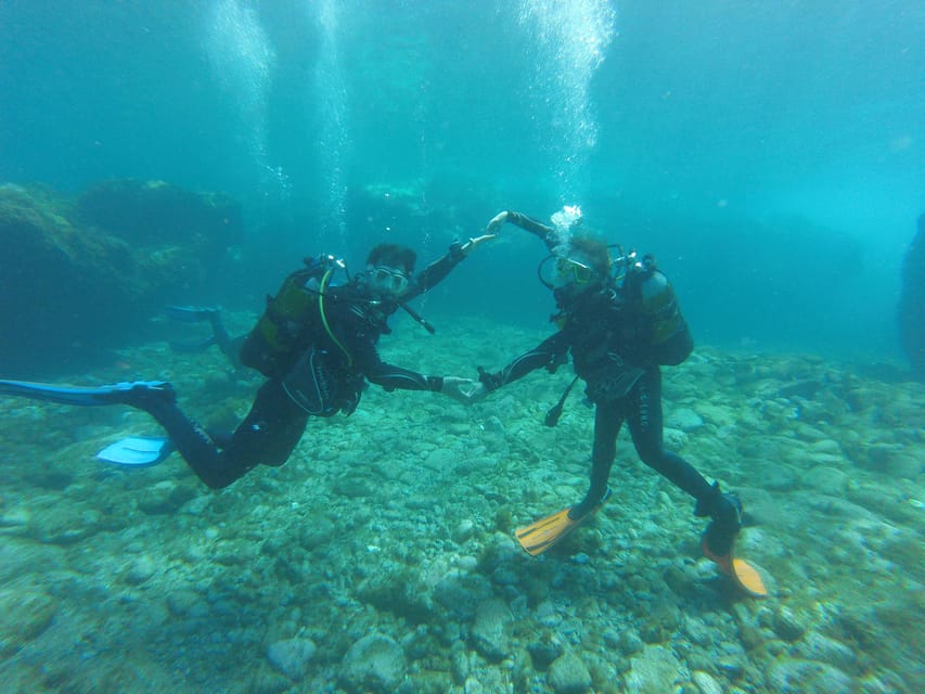Tenerife south: Scuba Dive for beginners in Adeje - What the $100 price covers