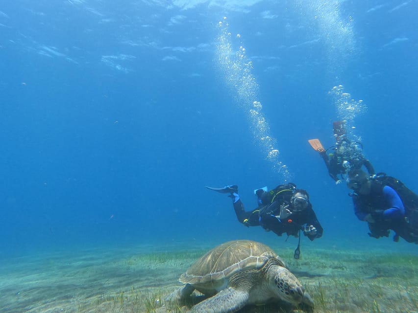 Tenerife south: Scuba Dive for beginners in Adeje - FAQ