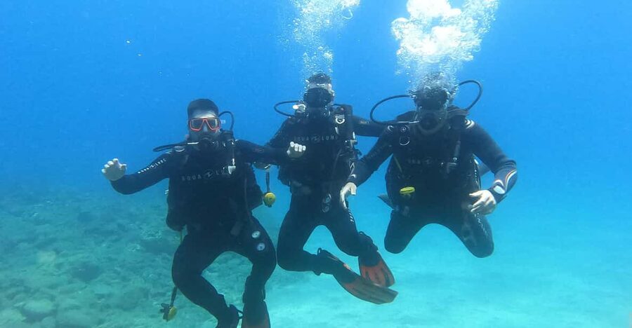 Tenerife south: Scuba Dive for beginners in Adeje - The briefing, gear and trip to the water