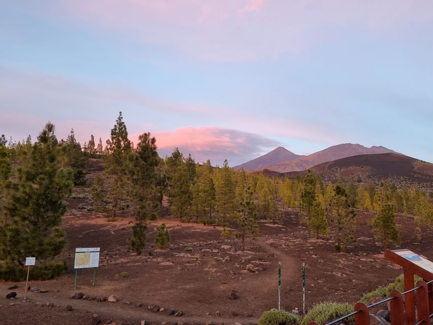 Tenerife: Sunset and Stargazing at Teide National Park - Cold, clouds, and other real-world conditions
