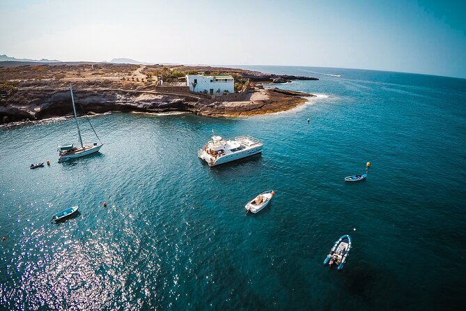 Tenerife Sunset Catamaran tour with transfer - Food and Drinks included. - Out to sea for whales and dolphins