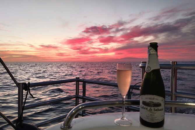 Tenerife Sunset Catamaran tour with transfer - Food and Drinks included. - FAQ