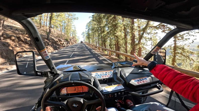 Tenerife: Teide National Park Guided Buggy Tour - The coast, crops and return route