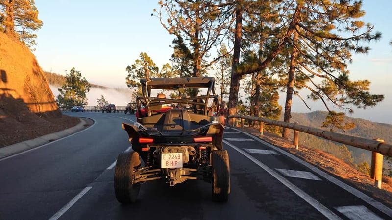 Tenerife: Teide National Park Guided Buggy Tour - Should you book it?