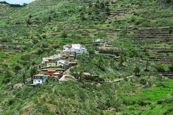 Tenerife Tour Mt. Teide and the Towns of Icod, Garachico, Masca - Teide National Park: a short visit to volcanic country