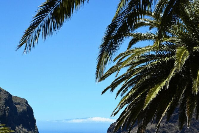 Tenerife Tour Mt. Teide and the Towns of Icod, Garachico, Masca - Garachico: old port and lava-formed pools