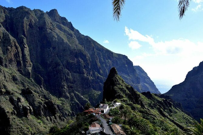Tenerife Tour Mt. Teide and the Towns of Icod, Garachico, Masca - Icod de los Vinos and the Drago Milenario