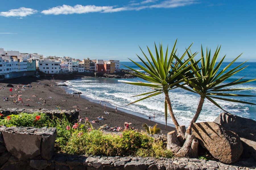 Tenerife: Trip to Puerto de la Cruz - Lunch and transport shape the value