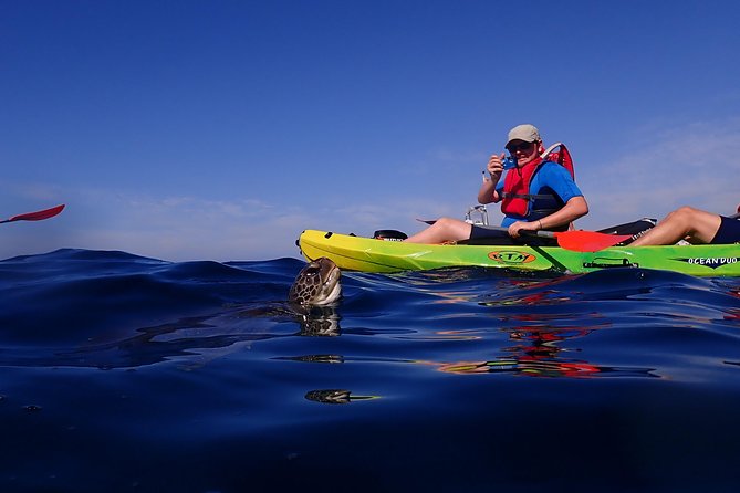 Tenerife: Turtle & Dolphin Kayak Tour with Snorkel & Wetsuit - The paddle back to shore