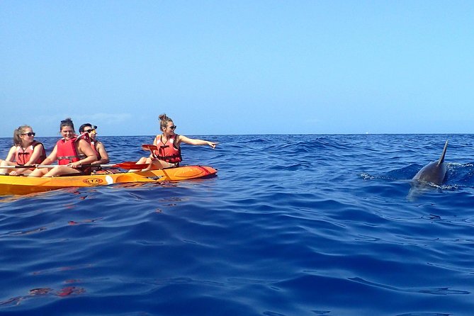 Tenerife: Turtle & Dolphin Kayak Tour with Snorkel & Wetsuit - Who will enjoy this paddle
