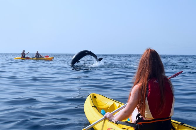 Tenerife: Turtle & Dolphin Kayak Tour with Snorkel & Wetsuit - Should you book it?