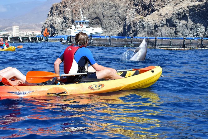 Tenerife: Turtle & Dolphin Kayak Tour with Snorkel & Wetsuit - FAQ