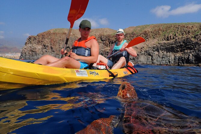 Tenerife: Turtle & Dolphin Kayak Tour with Snorkel & Wetsuit - The snorkeling stop