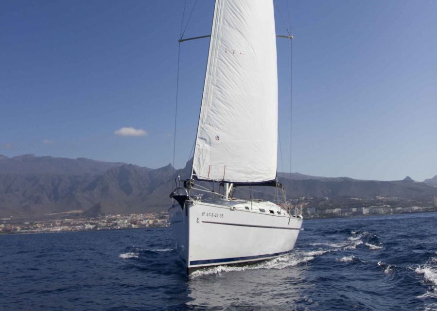 Tenerife: Whale and Dolphin Watching Tour by Sailboat - A swim stop off the coast