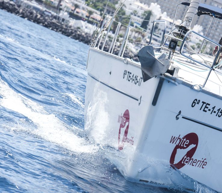 Tenerife: Whale and Dolphin Watching Tour by Sailboat - Snacks, drinks and a simple meal
