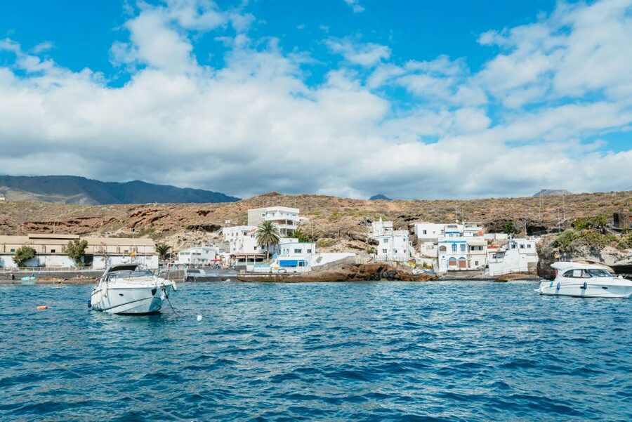 Tenerife: Whale & Dolphin Watching with Drinks and Snacks - Staying comfortable when the sea moves