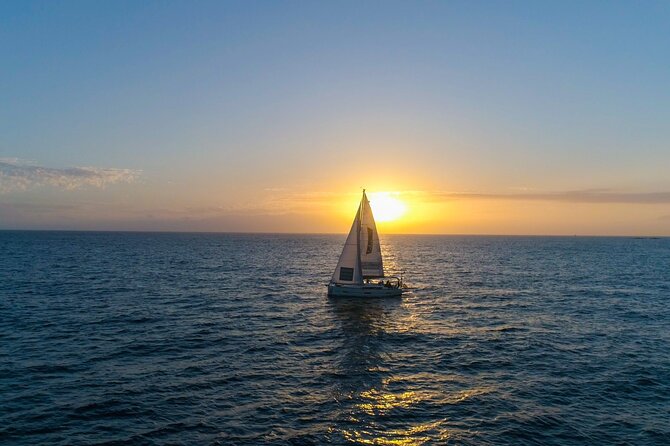 Tenerife Whale Watching and Snorkeling Yacht Trip - Booking and practical expectations