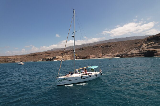 Tenerife Whale Watching and Snorkeling Yacht Trip - The Captain and the Feel of the Trip
