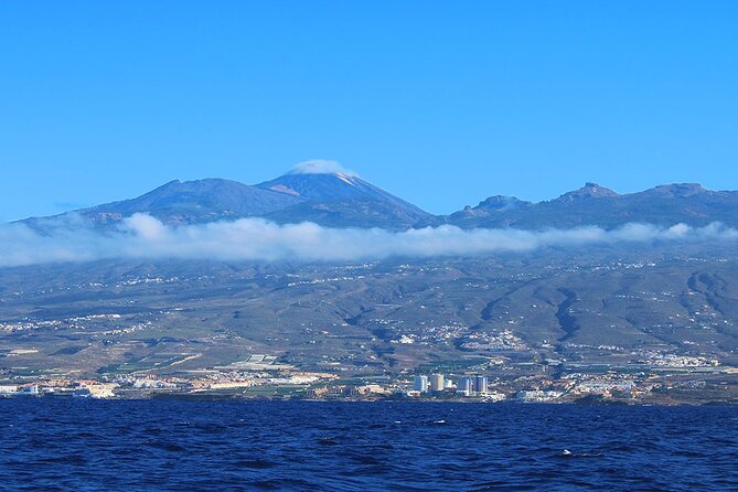 Tenerife Whales and Dolphins Watching Experience in Catamaran - Searching three miles off Tenerife’s south coast