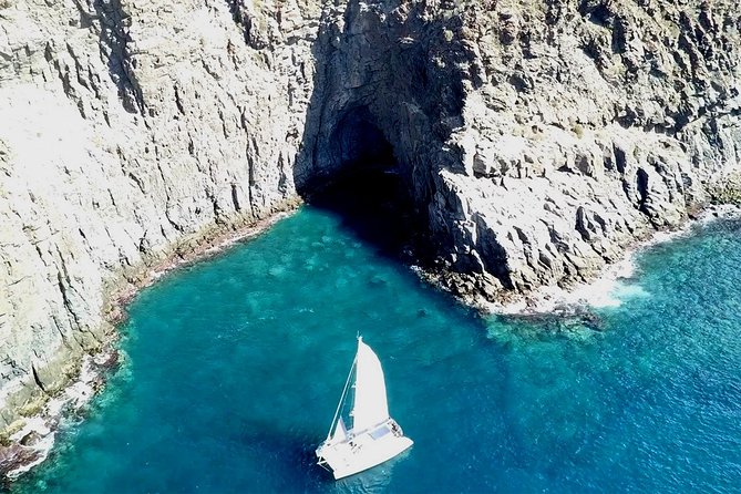 Tenerife Whales and Dolphins Watching Experience in Catamaran - Who will enjoy this catamaran trip?