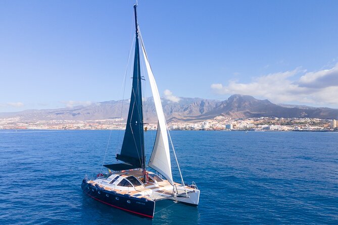 Tenerife Whales and Dolphins Watching Experience in Catamaran - Should you book this trip?