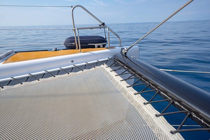 Tenerife Whales and Dolphins Watching Experience in Catamaran - FAQ