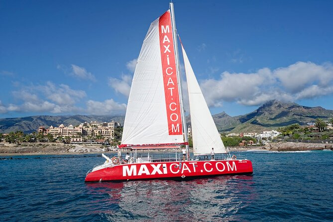 Tour with Whale and Dolphin Watching plus food included - At a glance