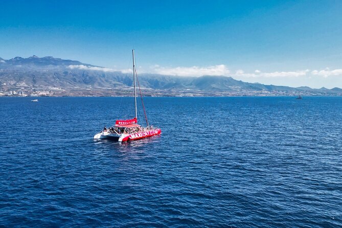 Tour with Whale and Dolphin Watching plus food included - A catamaran ride with more than one purpose