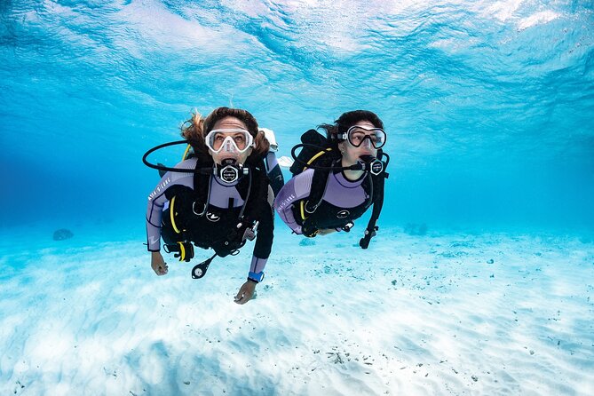Try Dive - PADI Discover Scuba Diving in Tenerife - Your first underwater breaths in Tenerife