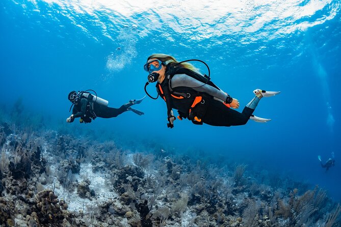 Try Dive - PADI Discover Scuba Diving in Tenerife - Land practice before the water