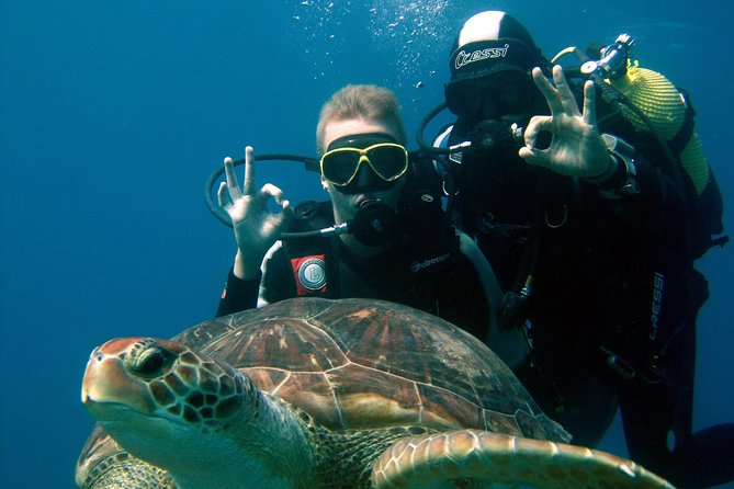 Try Scuba Diving in a turtle area (boat) - Starting from Costa Adeje
