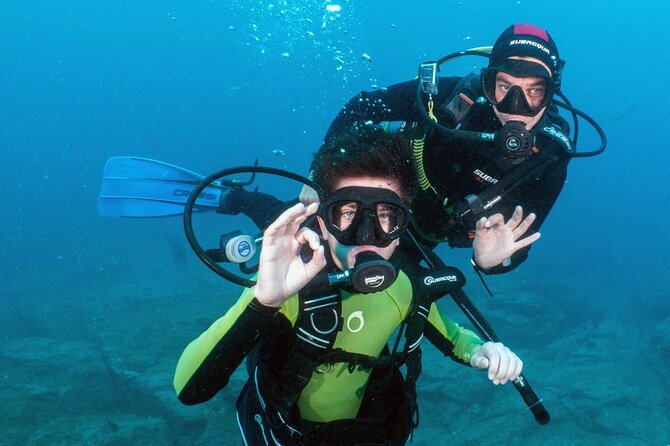 Try Scuba Diving in a turtle area (boat) - What the single stop means for your day