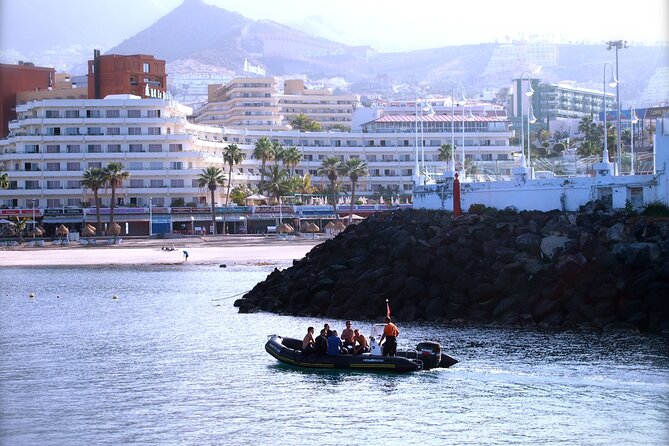 Try Scuba Diving in a turtle area (boat) - Is $84.66 good value?
