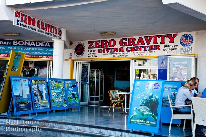 Try Scuba Diving in a turtle area (boat) - Health, timing, and what to bring